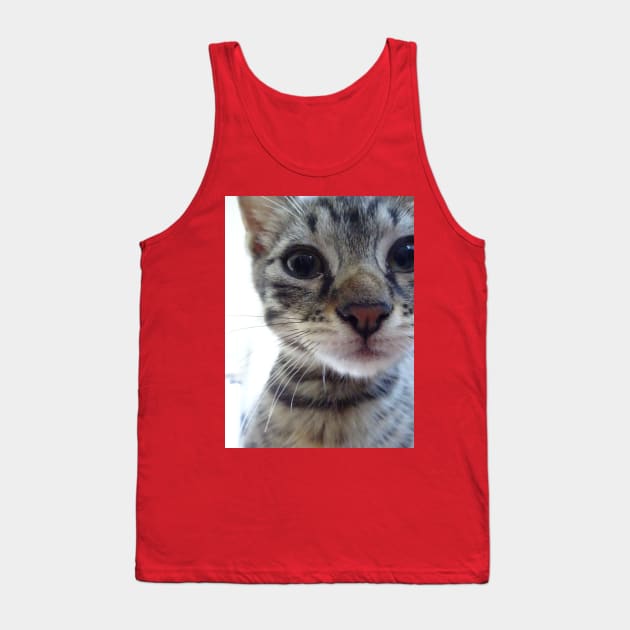 The young cat - 1 Tank Top by walter festuccia